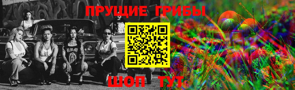 Галлюциногенные грибы GOLDEN TEACHER  Вход с VPN  Галлюциногенные грибы Psilocybe  что такое   Чусовой 